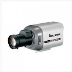 6n-250x250
