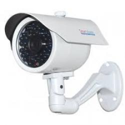 7v-250x250