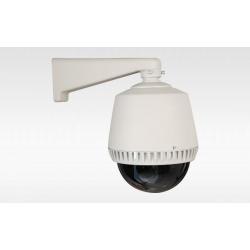 D85-250x250
