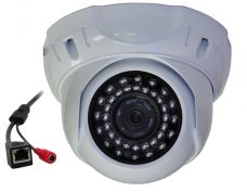 sv-479-ip
